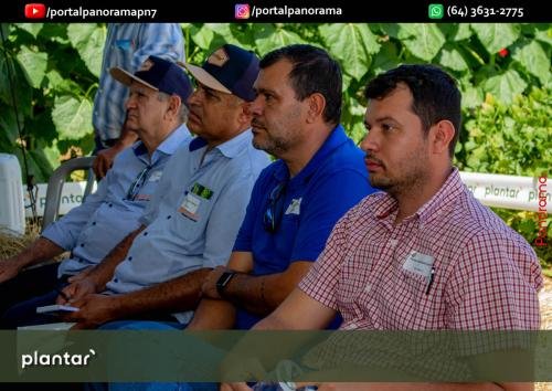 Dia-de-Campo-Plantar-214