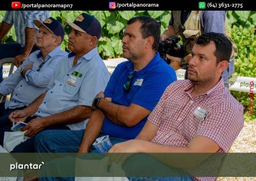 Dia-de-Campo-Plantar-216