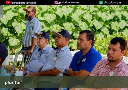 Dia-de-Campo-Plantar-220