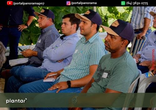 Dia-de-Campo-Plantar-221