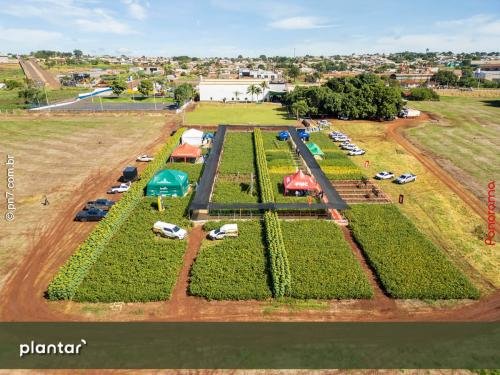 Dia-de-Campo-Plantar-3