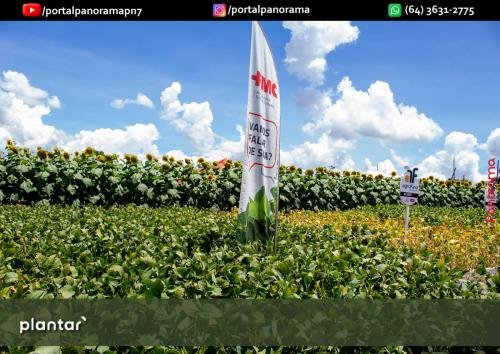 Dia-de-Campo-Plantar-320