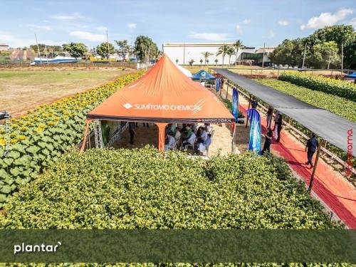 Dia-de-Campo-Plantar-4