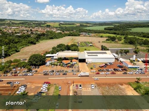 Dia-de-Campo-Plantar-6