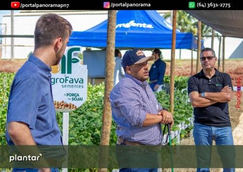 Dia-de-Campo-Plantar-9