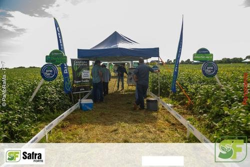 Dia-de-Campo-Safra-Forte-105 (1)
