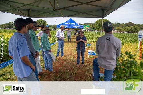 Dia-de-Campo-Safra-Forte-174 (1)