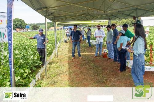 Dia-de-Campo-Safra-Forte-175 (1)