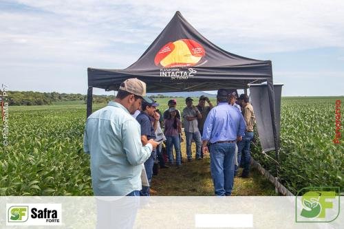 Dia-de-Campo-Safra-Forte-178 (1)