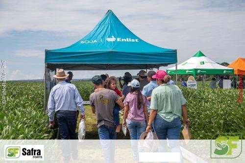 Dia-de-Campo-Safra-Forte-179 (1)
