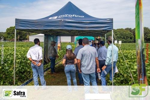 Dia-de-Campo-Safra-Forte-180 (1)