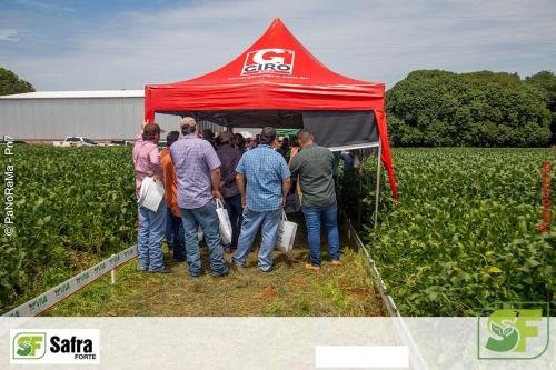 Dia-de-Campo-Safra-Forte-188 (1)