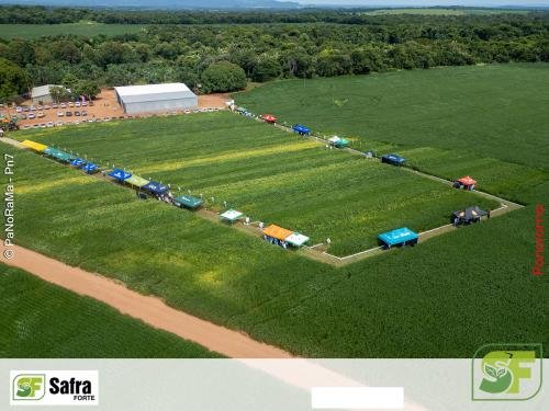 Dia-de-Campo-Safra-Forte-208 (1)