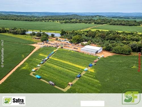 Dia-de-Campo-Safra-Forte-209 (1)