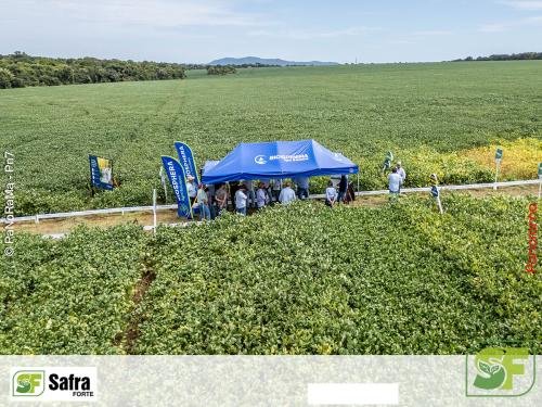 Dia-de-Campo-Safra-Forte-210 (1)