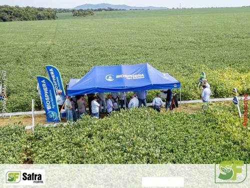 Dia-de-Campo-Safra-Forte-211 (1)