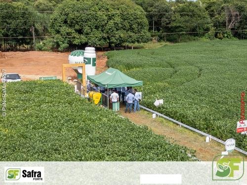 Dia-de-Campo-Safra-Forte-212 (1)