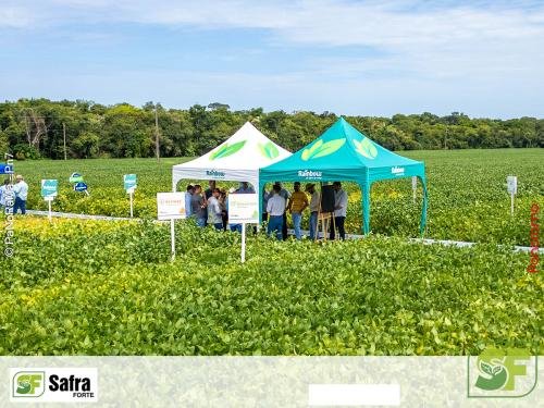 Dia-de-Campo-Safra-Forte-213 (1)