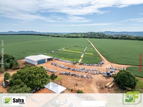 Dia-de-Campo-Safra-Forte-214 (1)