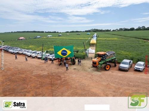 Dia-de-Campo-Safra-Forte-215 (1)