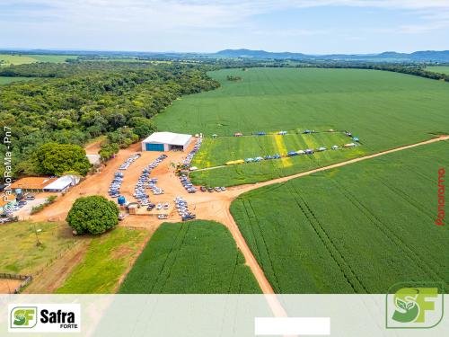 Dia-de-Campo-Safra-Forte-217 (1)