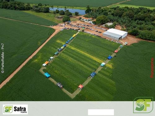 Dia-de-Campo-Safra-Forte-218 (1)