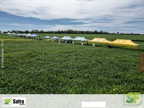 Dia-de-Campo-Safra-Forte-219 (1)