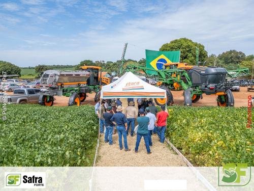 Dia-de-Campo-Safra-Forte-220 (1)