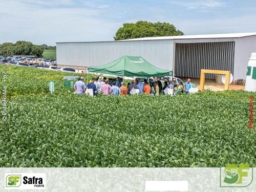 Dia-de-Campo-Safra-Forte-222 (1)