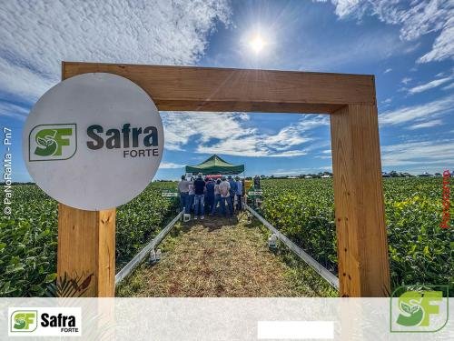 Dia-de-Campo-Safra-Forte-243 (1)