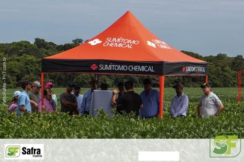 Dia-de-Campo-Safra-Forte-360 (1)