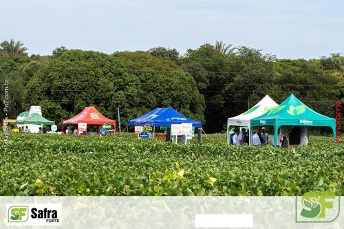 Dia-de-Campo-Safra-Forte-361