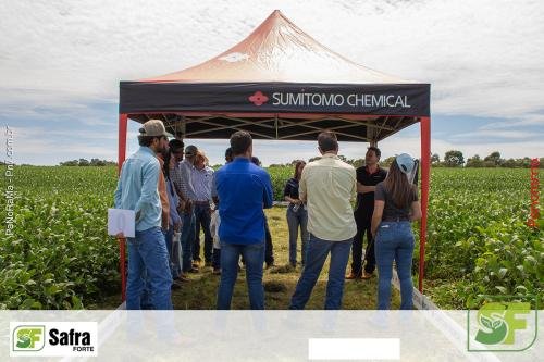 Dia-de-Campo-Safra-Forte-375