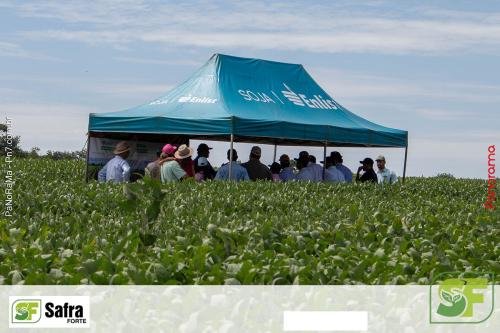 Dia-de-Campo-Safra-Forte-377