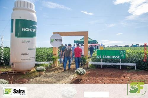 Dia-de-Campo-Safra-Forte-47 (1)