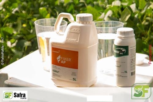 Dia-de-Campo-Safra-Forte-63 (1)