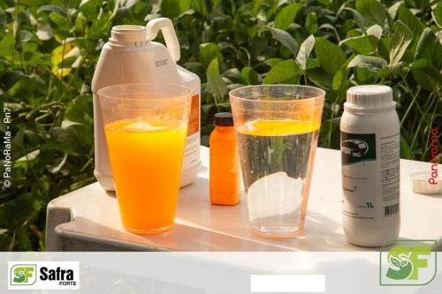 Dia-de-Campo-Safra-Forte-66 (1)