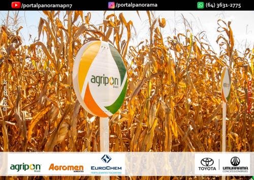 Dia-de-Campo-Safrinha-BIOSOLO-101