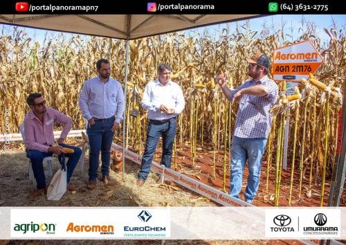 Dia-de-Campo-Safrinha-BIOSOLO-225