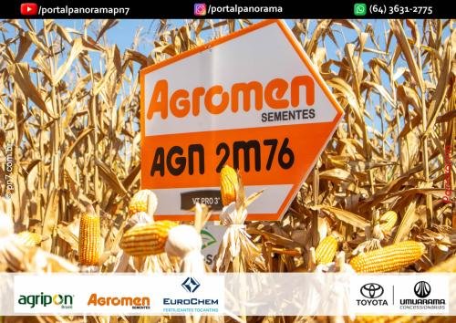 Dia-de-Campo-Safrinha-BIOSOLO-231