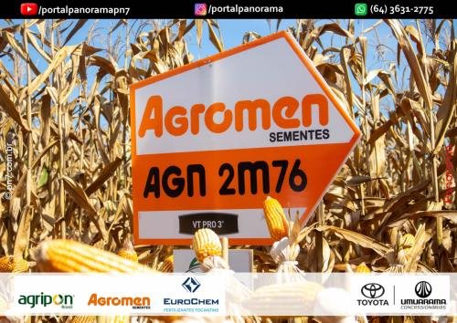 Dia-de-Campo-Safrinha-BIOSOLO-233