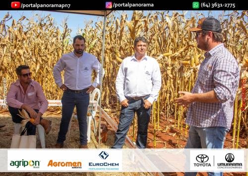 Dia-de-Campo-Safrinha-BIOSOLO-235