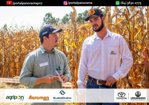 Dia-de-Campo-Safrinha-BIOSOLO-236