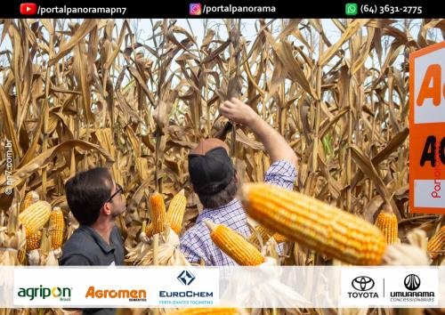 Dia-de-Campo-Safrinha-BIOSOLO-239