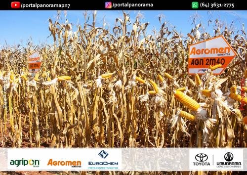 Dia-de-Campo-Safrinha-BIOSOLO-245