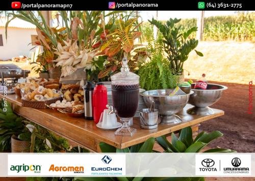 Dia-de-Campo-Safrinha-BIOSOLO-41