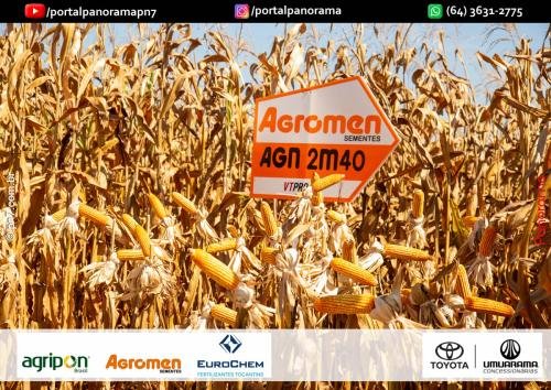 Dia-de-Campo-Safrinha-BIOSOLO-57