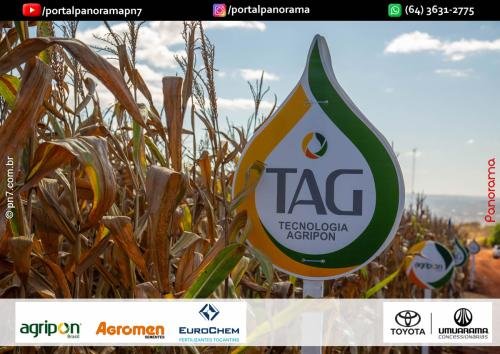 Dia-de-Campo-Safrinha-BIOSOLO-60