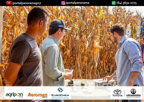 Dia-de-Campo-Safrinha-BIOSOLO-62