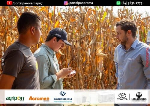 Dia-de-Campo-Safrinha-BIOSOLO-63